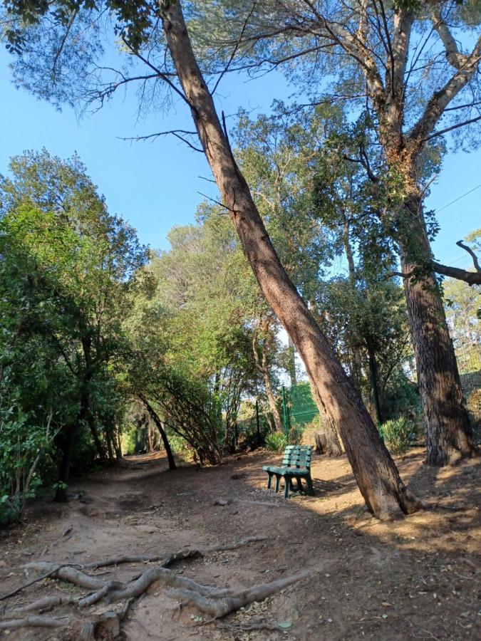 Appart Cosy En Bord De Mer - Port Santia Lucia St Raphael Saint-Raphael (Var) Exterior foto